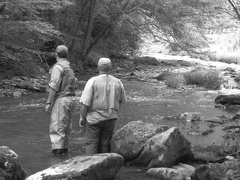 Doe River 28Jun09  20 